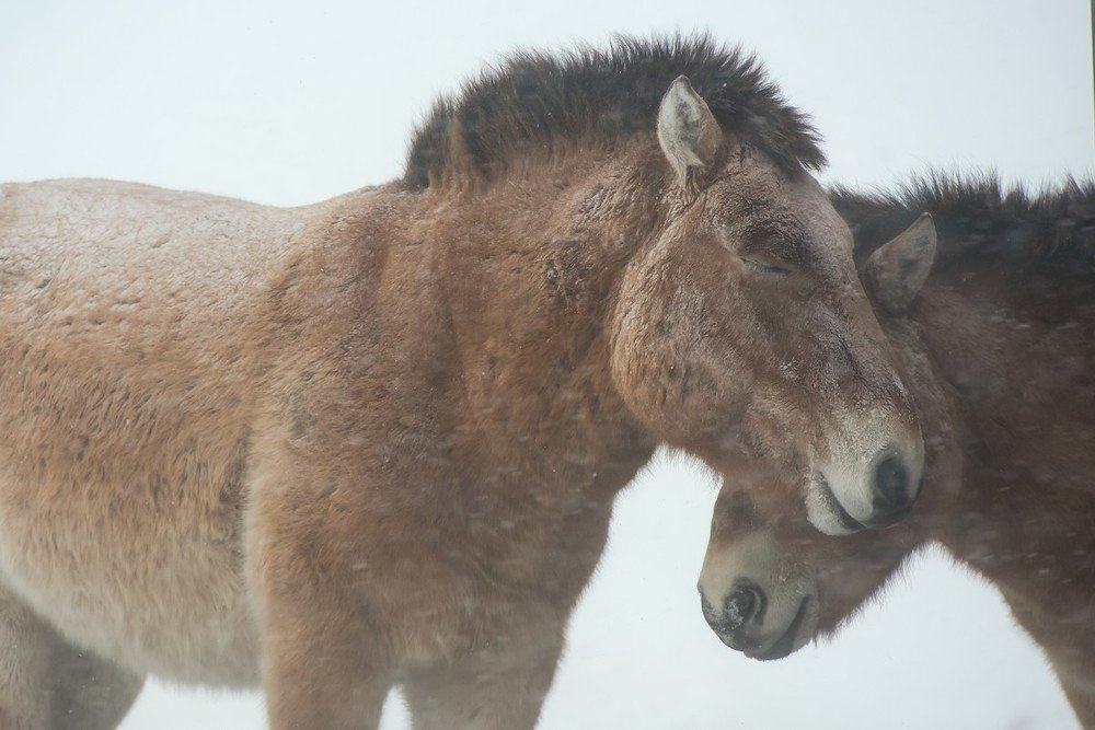 Photograph by Наталия