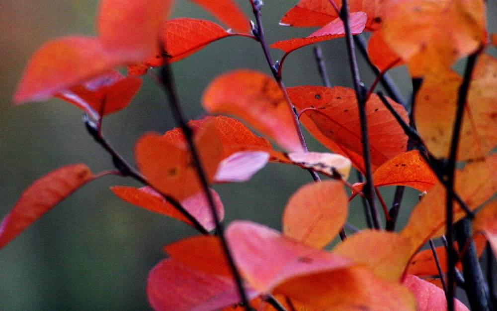 Photograph by Вадим Беляев