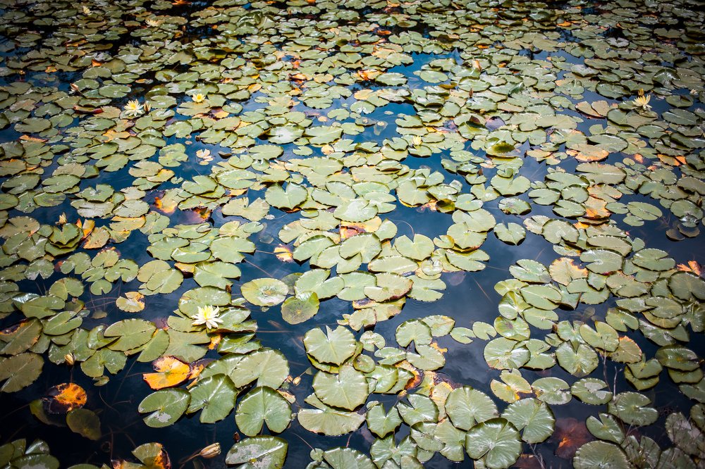 Photograph by Семён Муратов