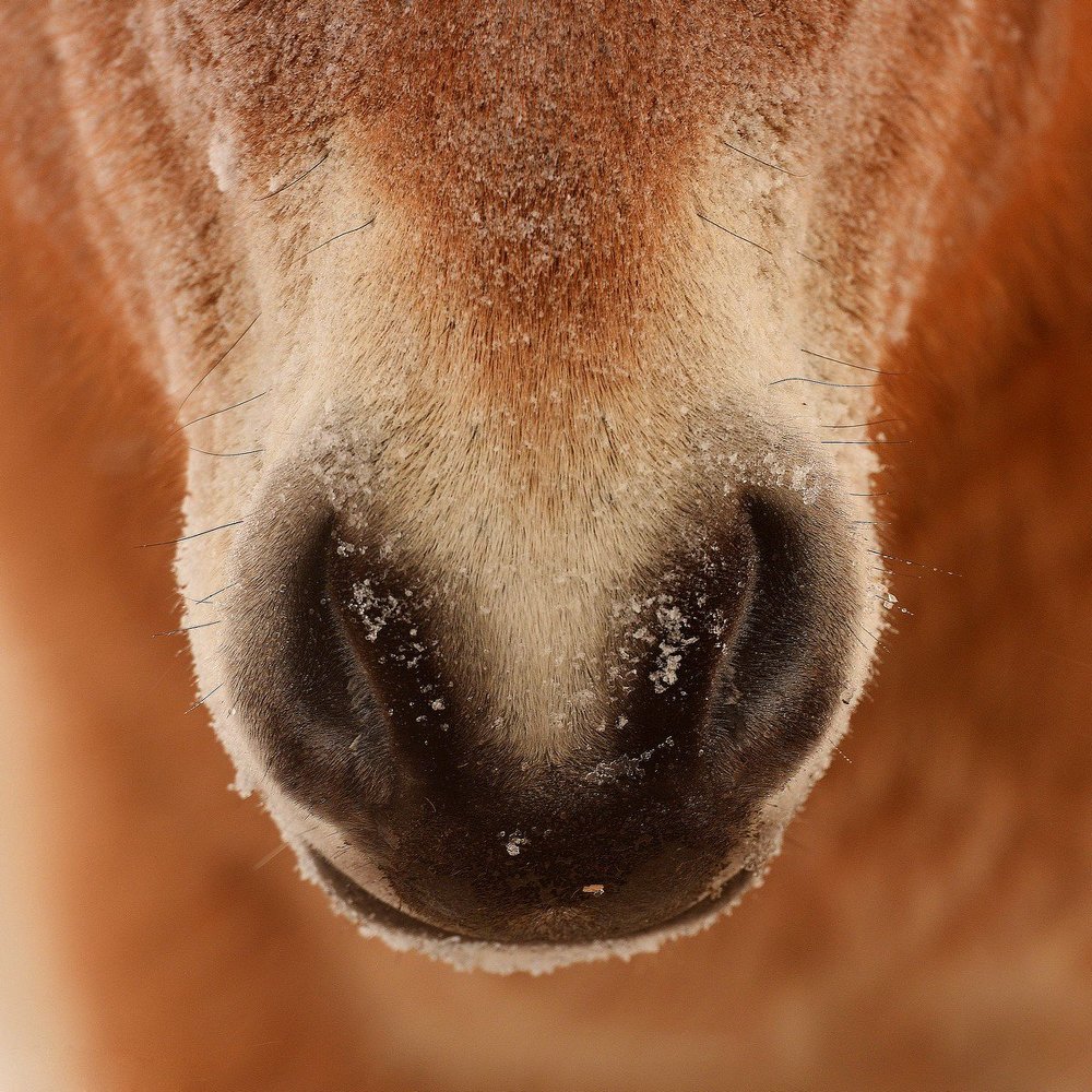 Любовь - повсюду!