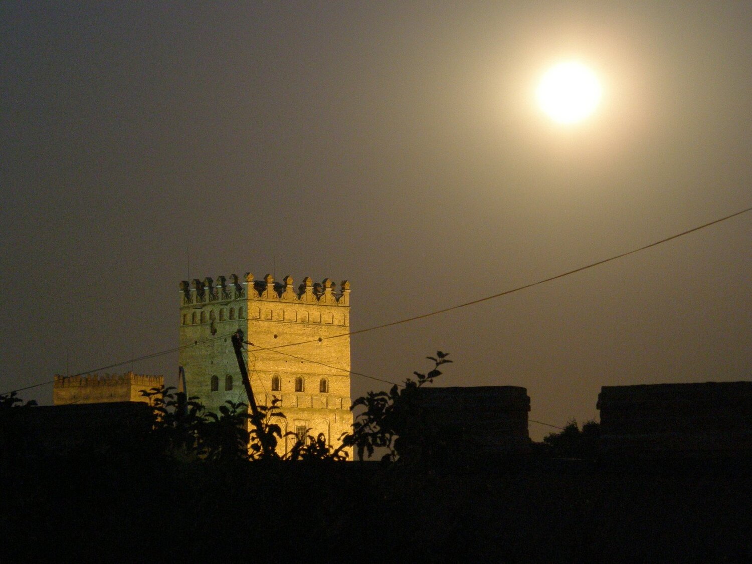 Photo #3850311