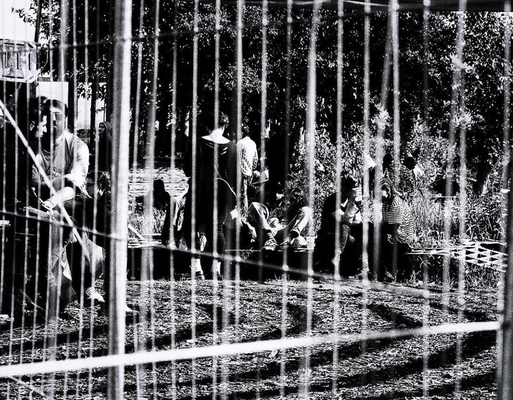 Photograph by Davit Medzmariashvili