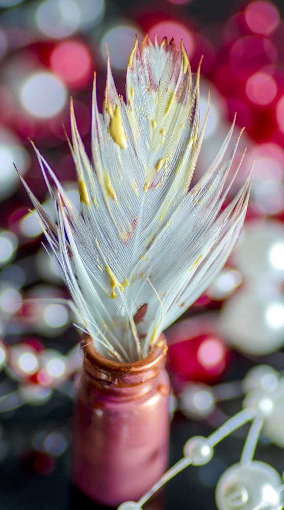 feather in red