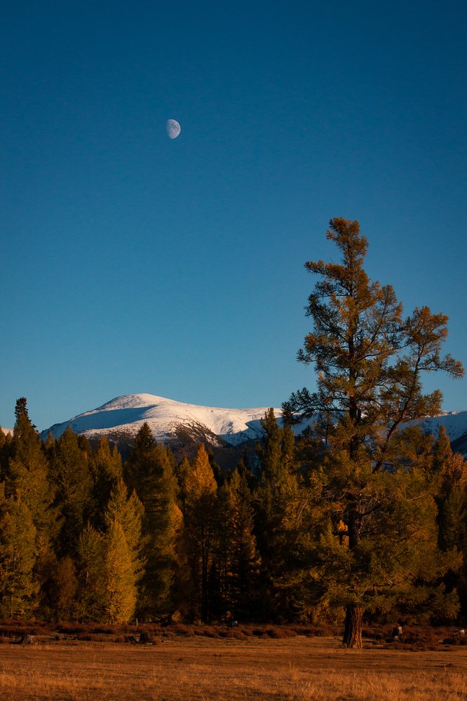 Photograph by Анна Кныш