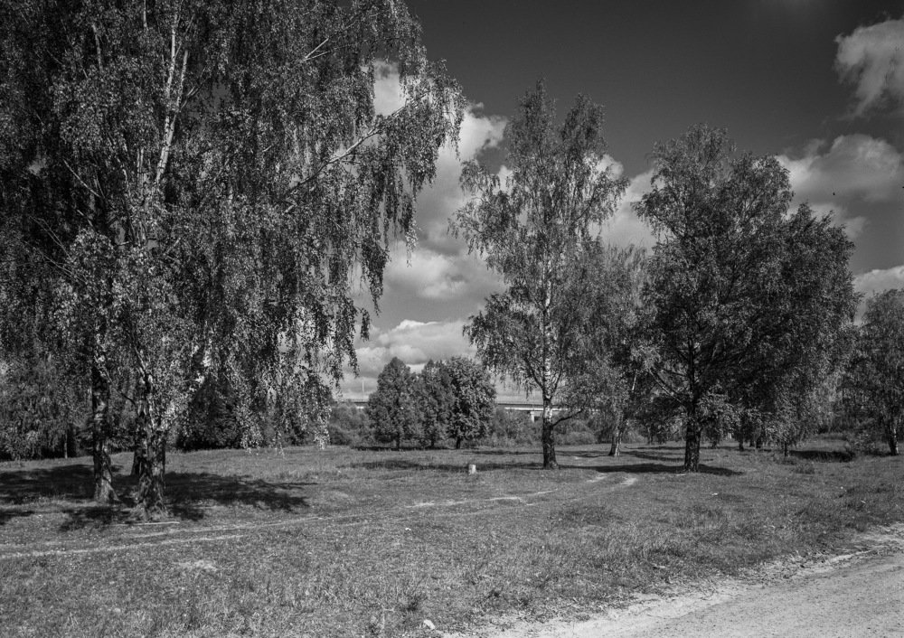 Photograph by Kuzmichev Alexey