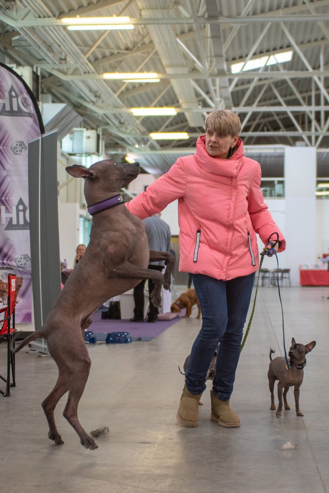 Фотография автора Natalia Starikova