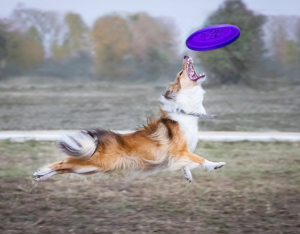 Photograph by Елена Баврина