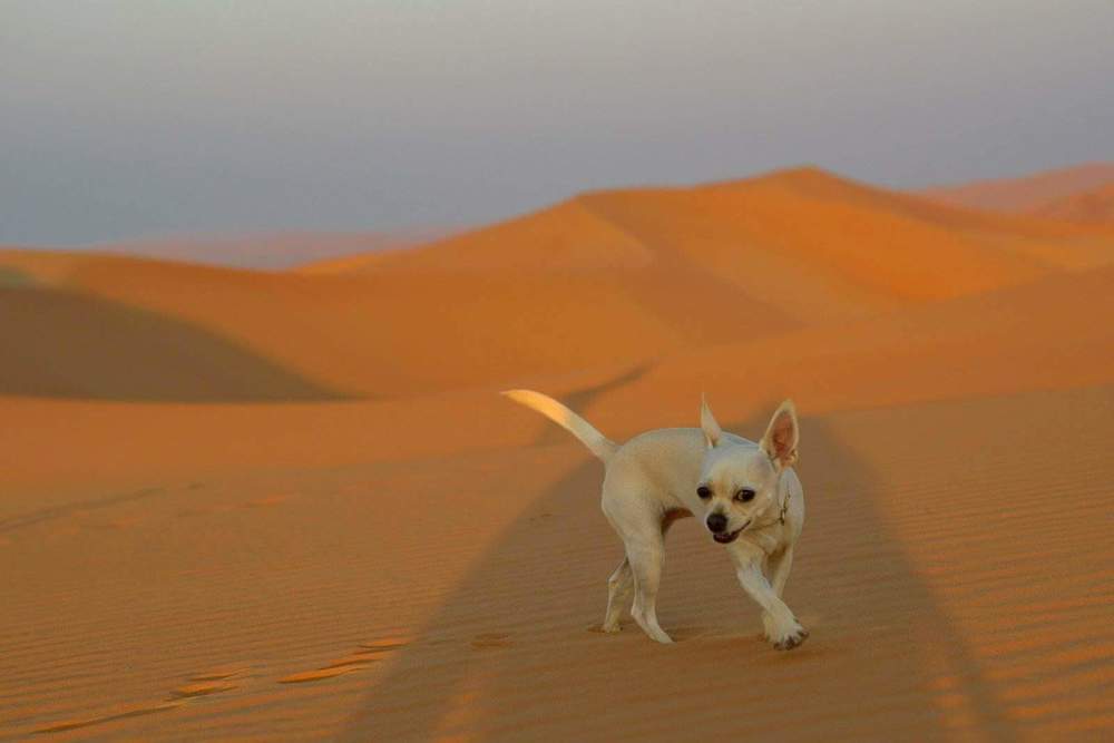 Фотография автора Natalia Starikova