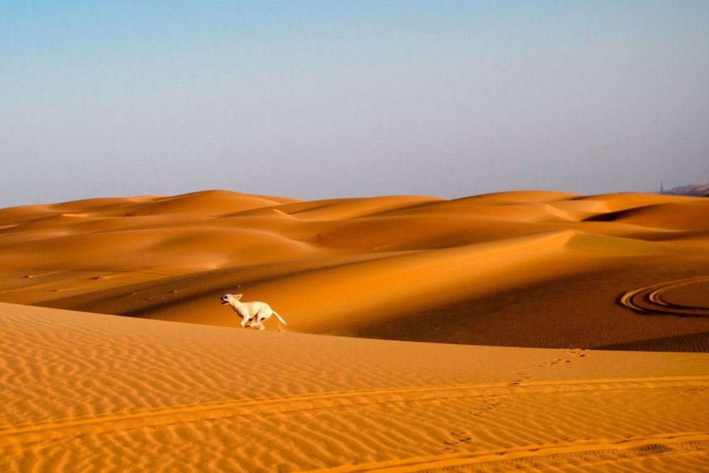 Фотография автора Natalia Starikova