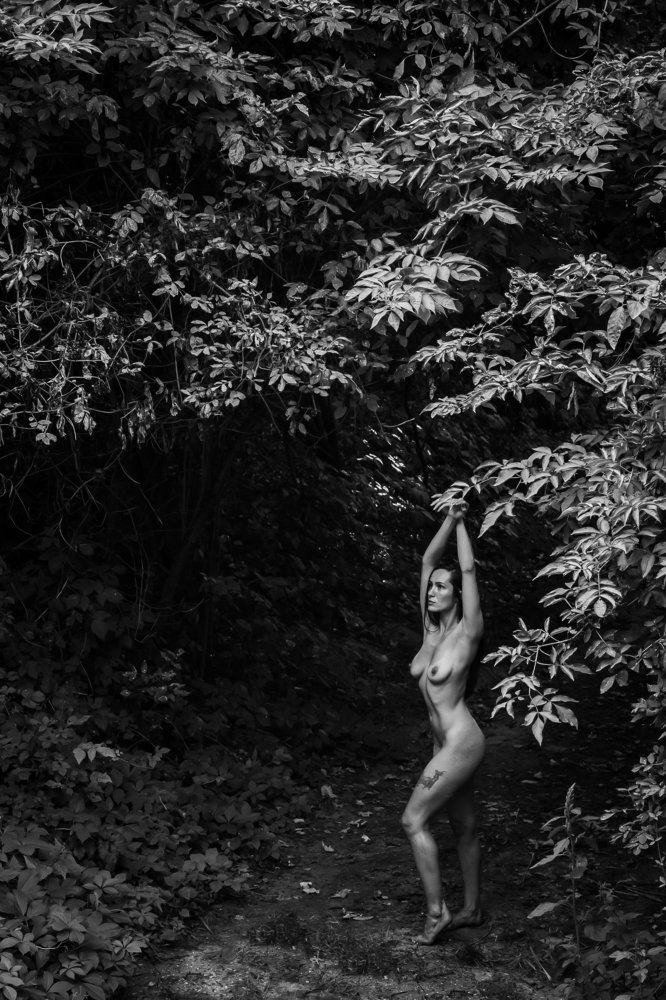 Photograph by Matécsa Elemér István