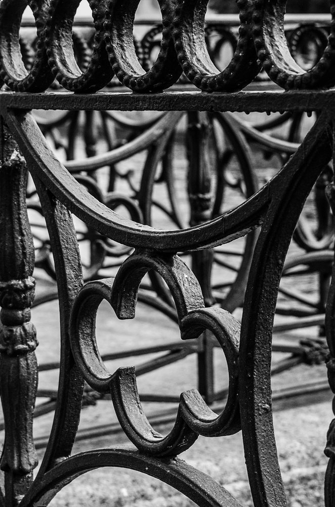 Photograph by Сафронова Любовь