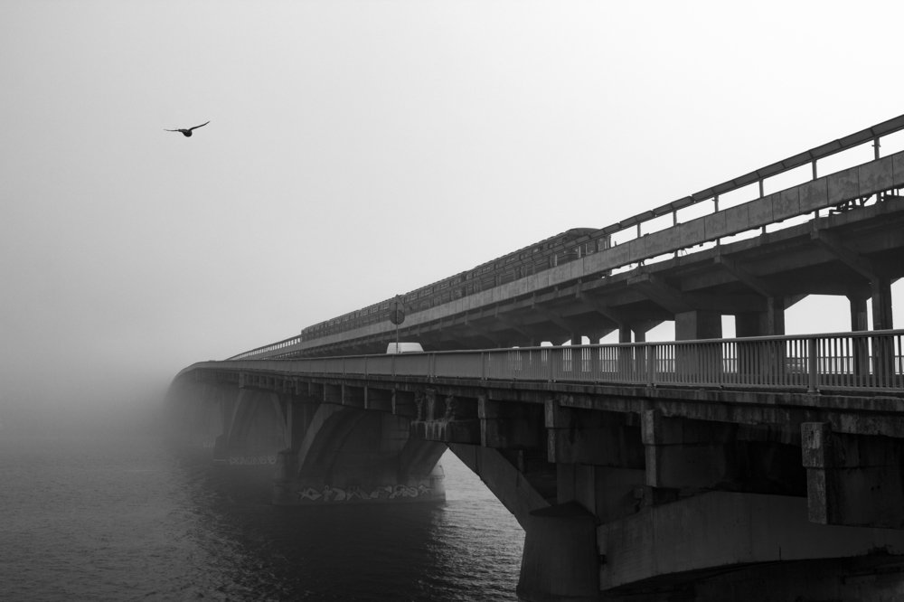 Фотография автора Dmitriy Zhuravlev