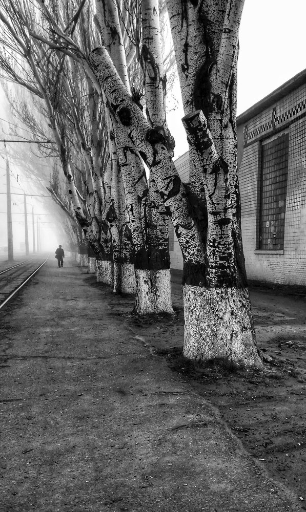 Фотография автора Dmitriy Zhuravlev