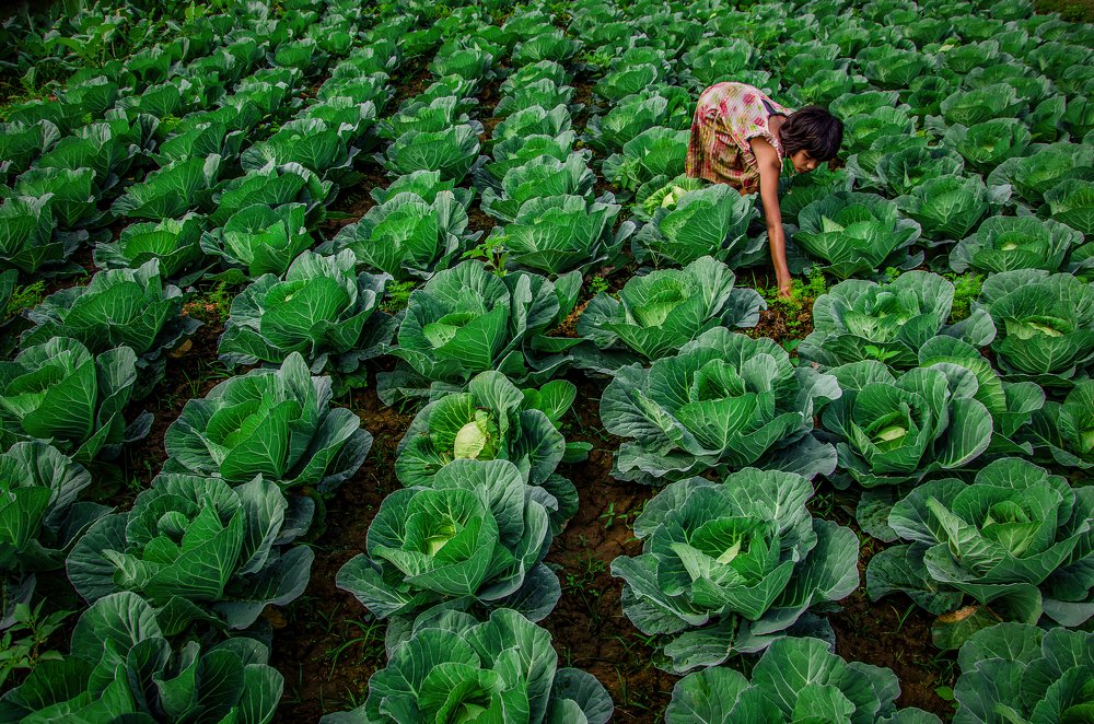 Photograph by SOURAV DAS