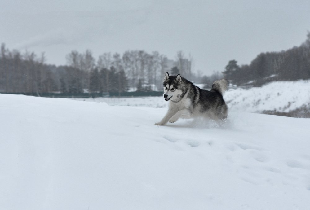 Photograph by Nastya Guseva
