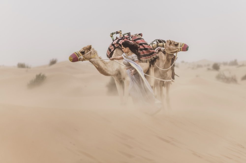 Photograph by Евгения Барра