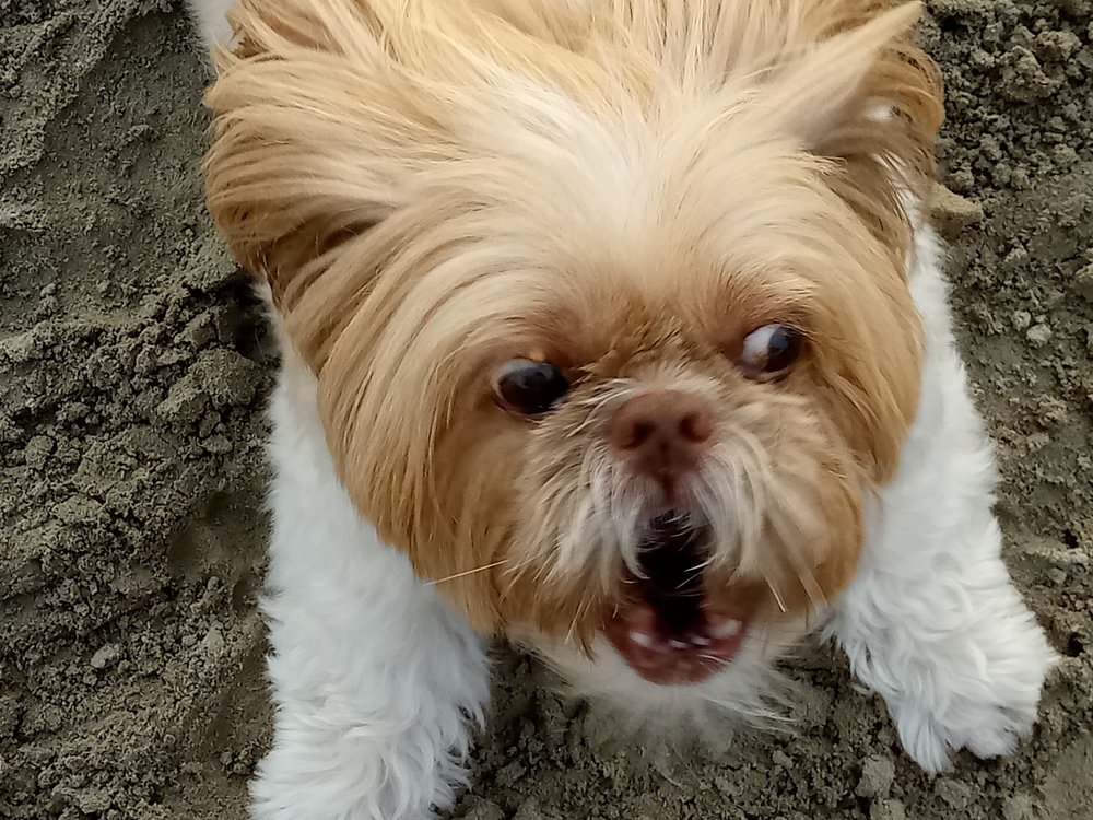 Photograph by Rosângela Verdi