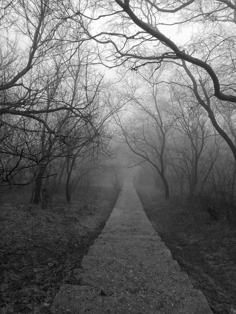 Фотография автора Dmitriy Zhuravlev