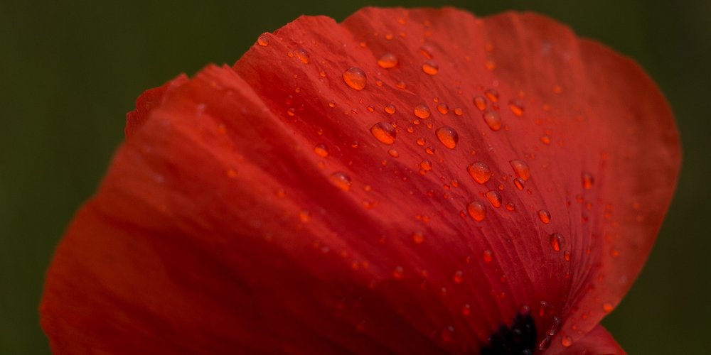 Photograph by Павел Мягких