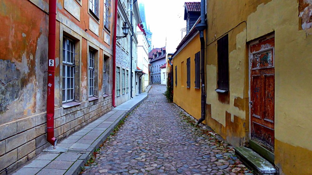 Photograph by Евгений Евдокимов