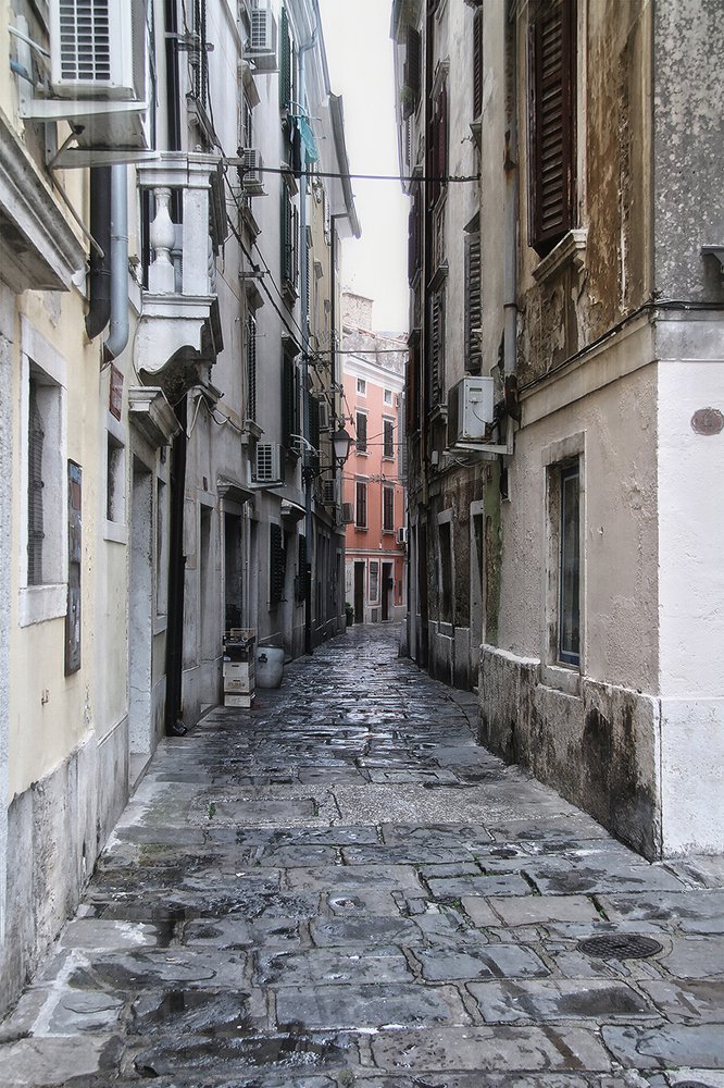 В переулочках Пирана после майского дождя