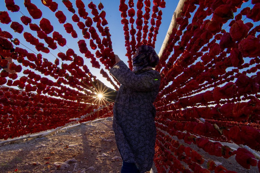 Photograph by Cem Yakal