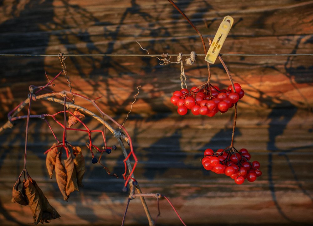 Осенние тени.