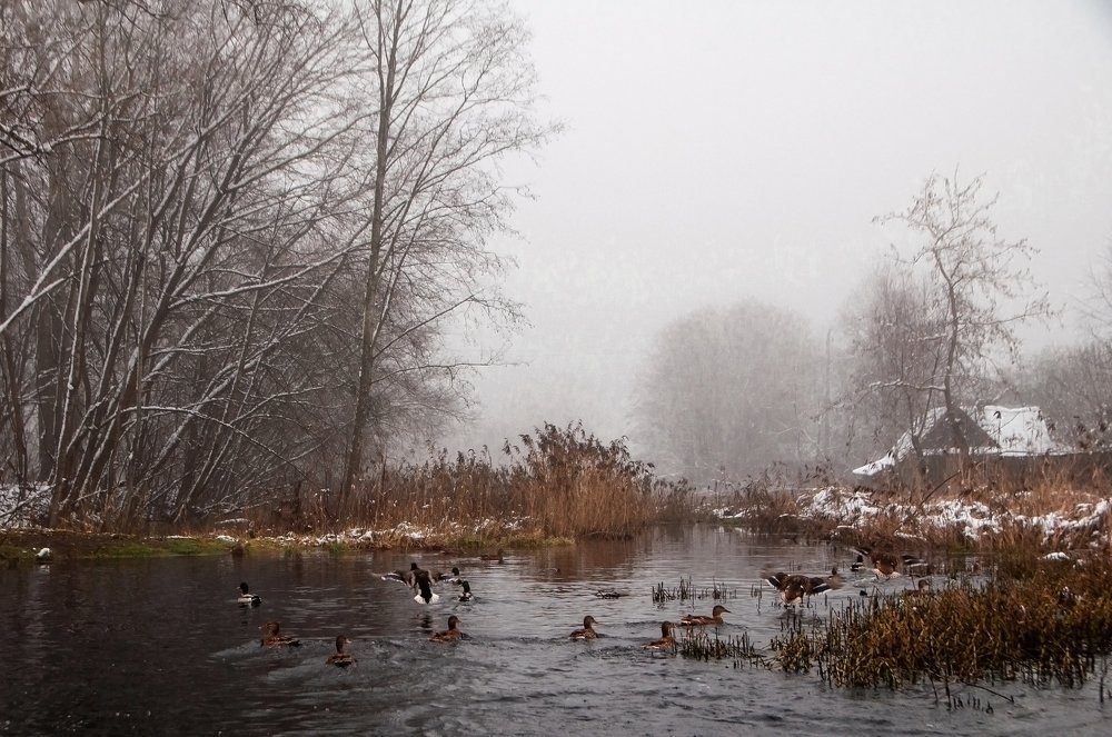Photograph by Лариса Абрамова