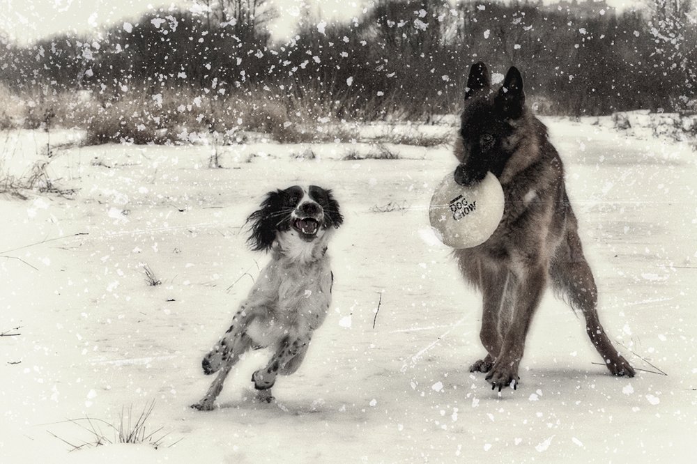 Photograph by Белова Лариса