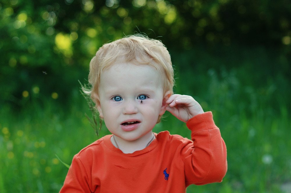 Незванная гостья