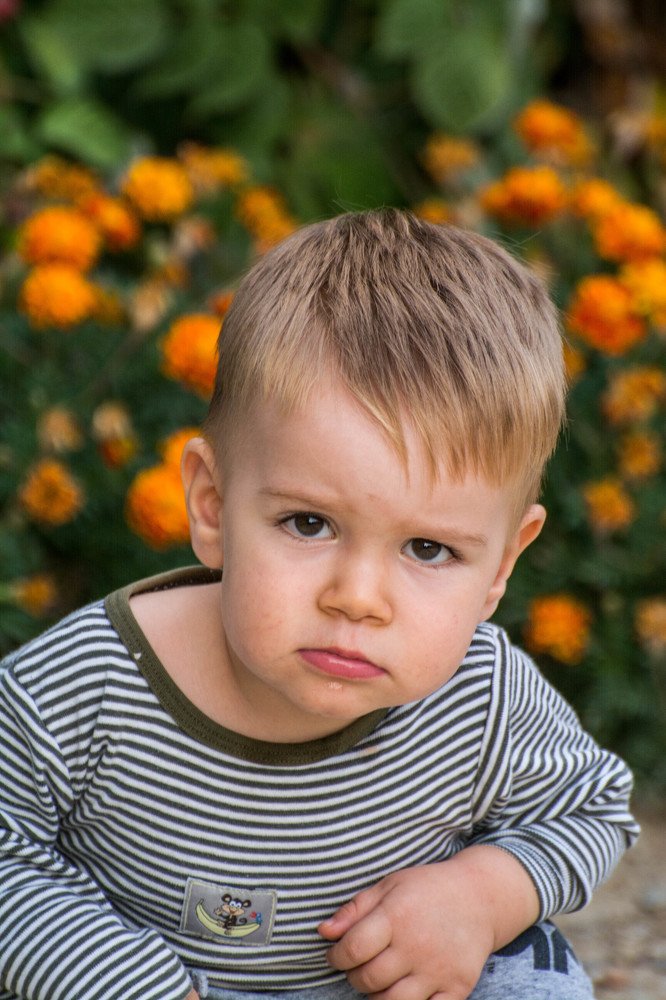 Photograph by Димитар Бирачоски