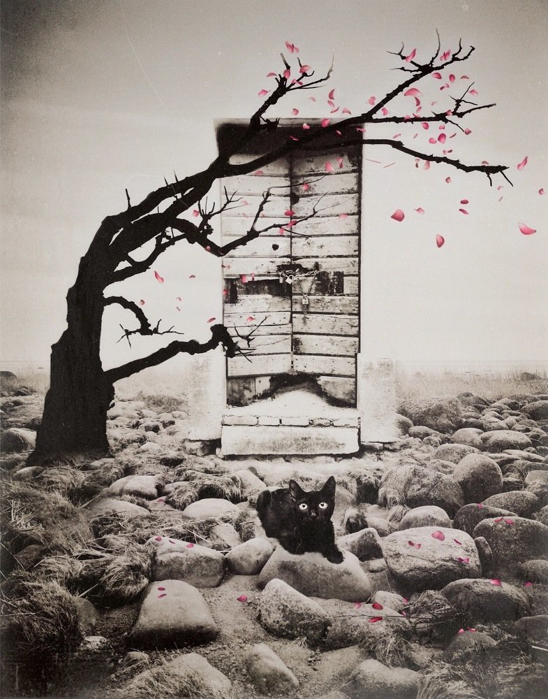Photograph by Анна