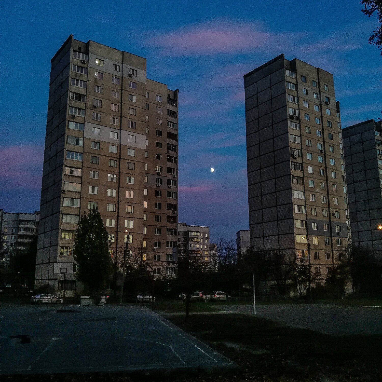 Photo #3851283