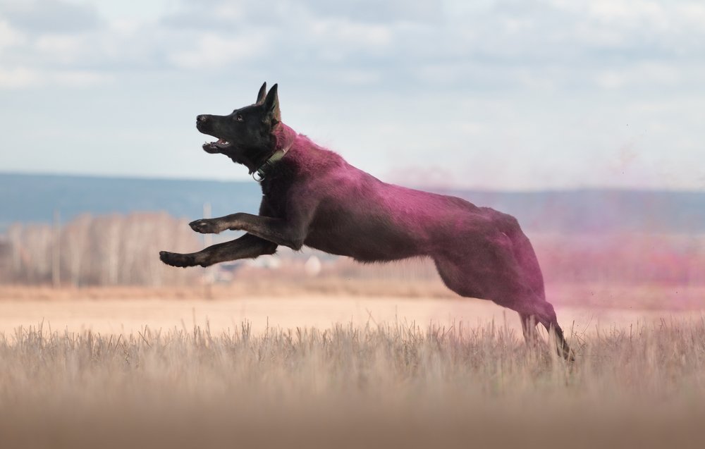 Photograph by Anna Zhidkova