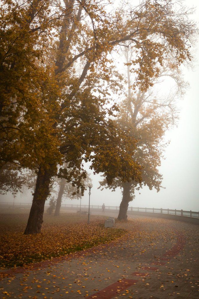 Photograph by Артём Будник