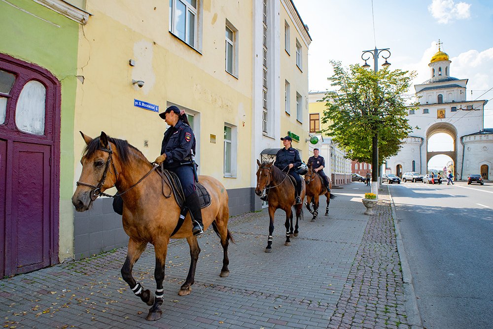 Дневной дозор.