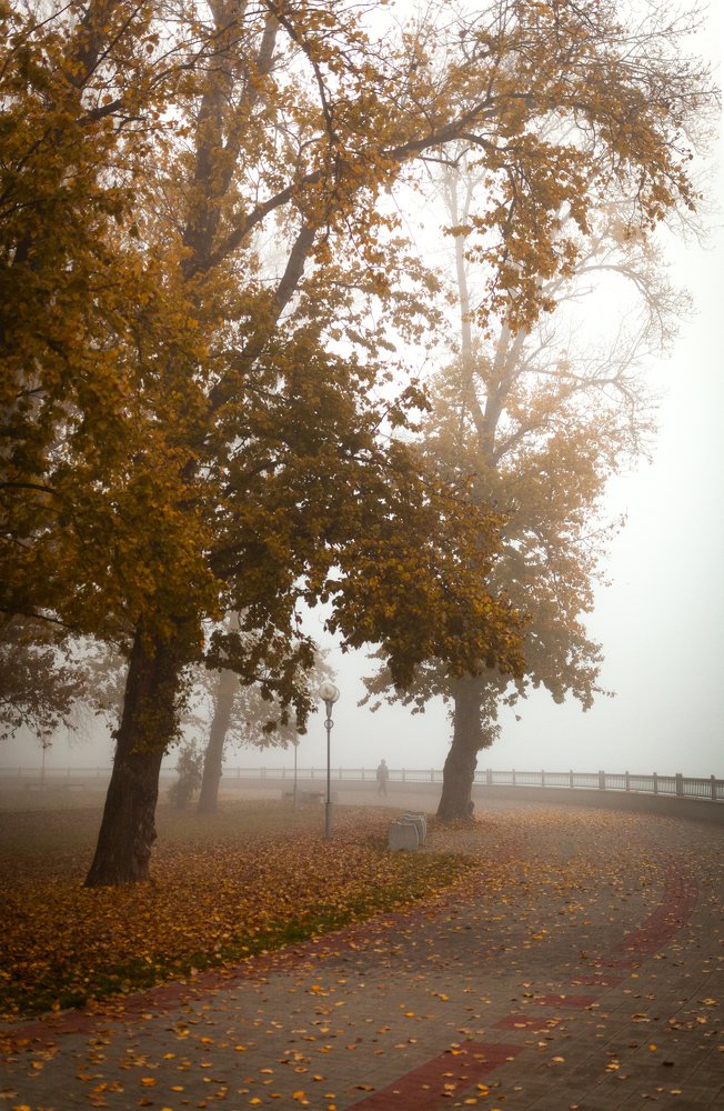 Photograph by Артём Будник