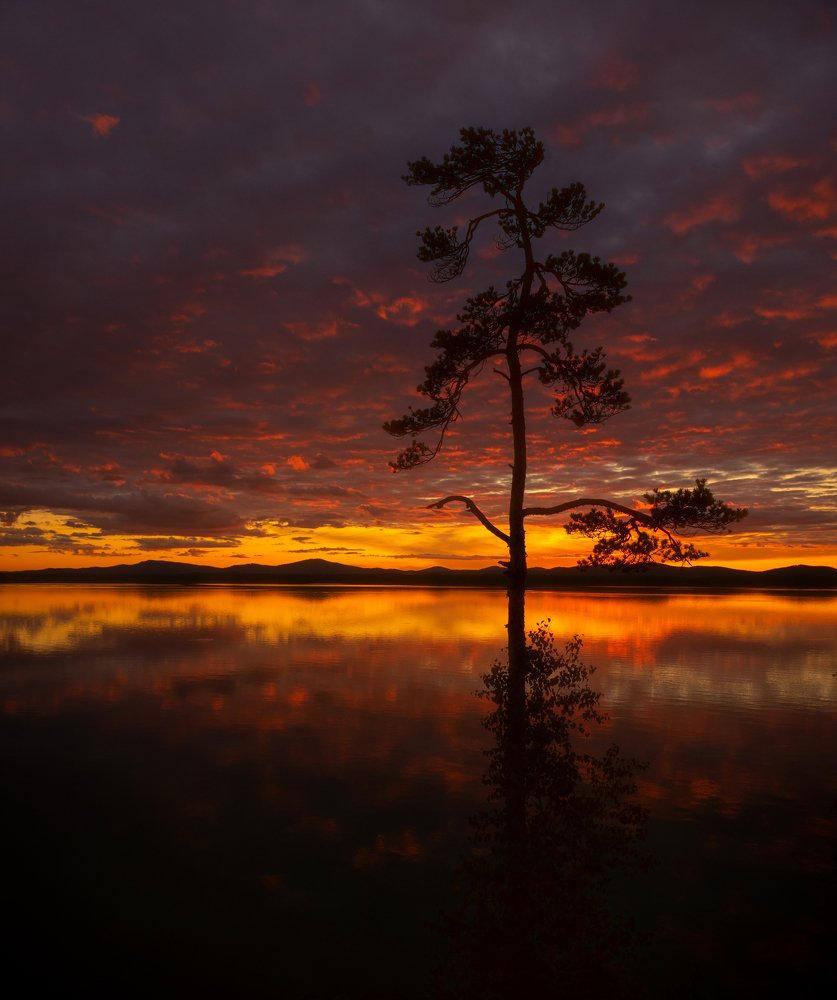 Photograph by Евгений Гецев