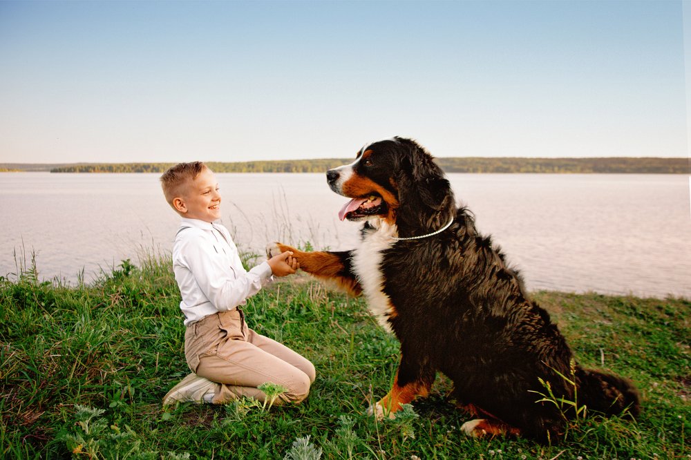 Photograph by Наталья Велиева