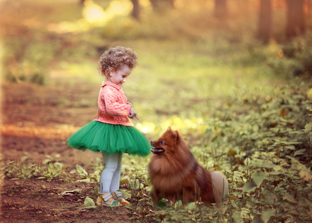 Photograph by Наталья Велиева