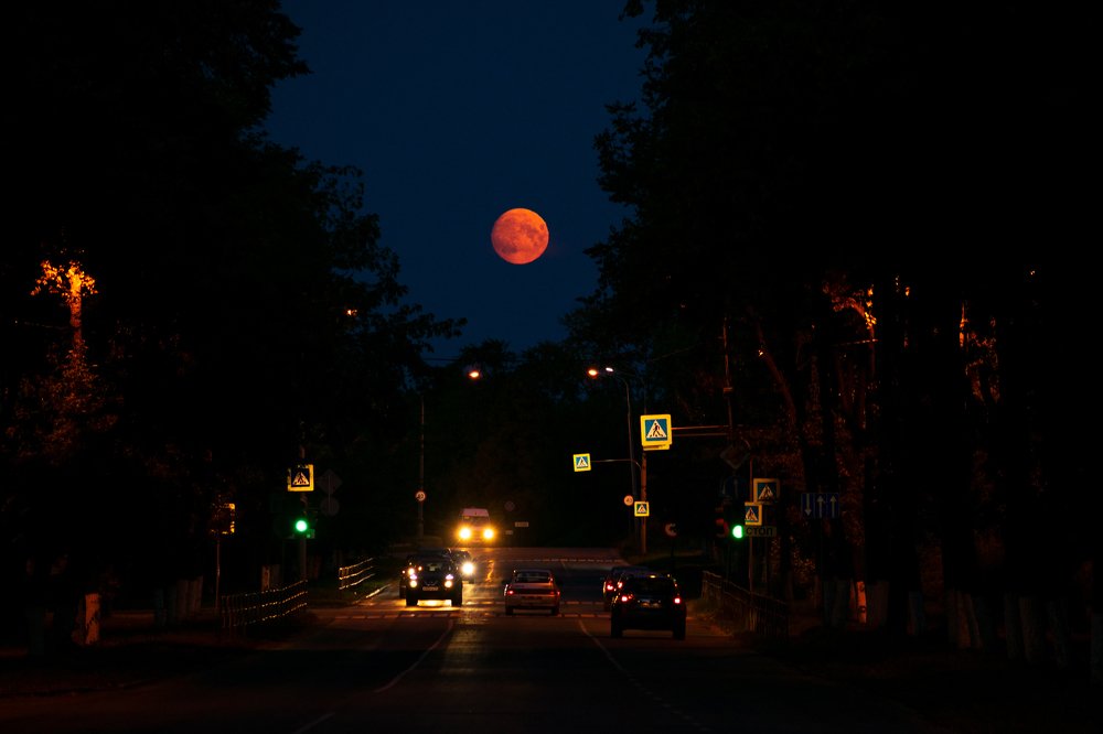 Photograph by Евгений Гецев