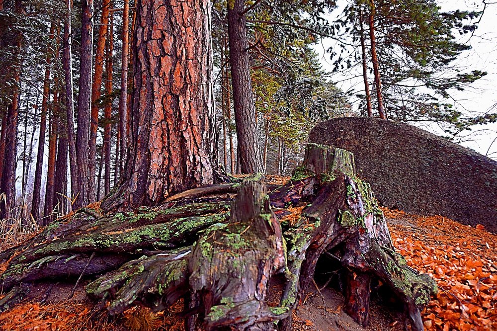 Photograph by Алия Байсыкова