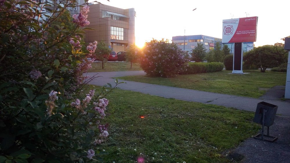 Фотография автора Александр Осинцев