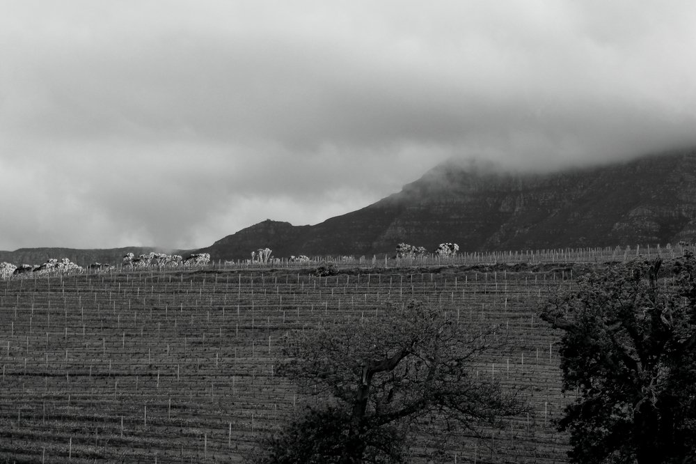 Фотография автора Kumar Pallav