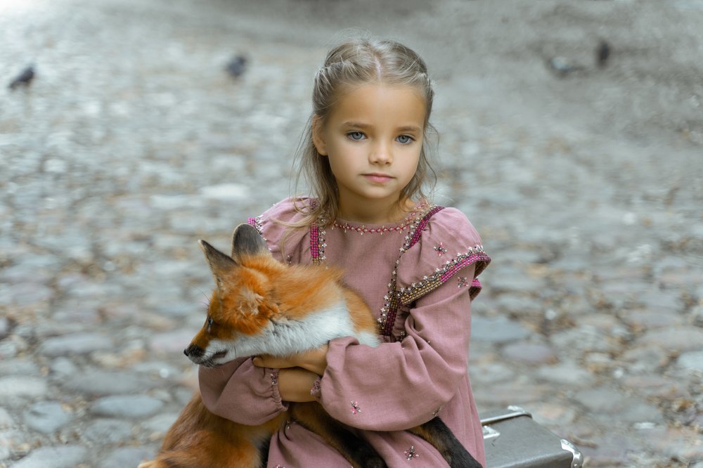 Мой друг Лис