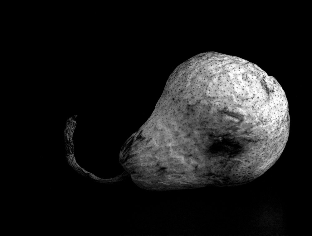 Photograph by Monoespinosa