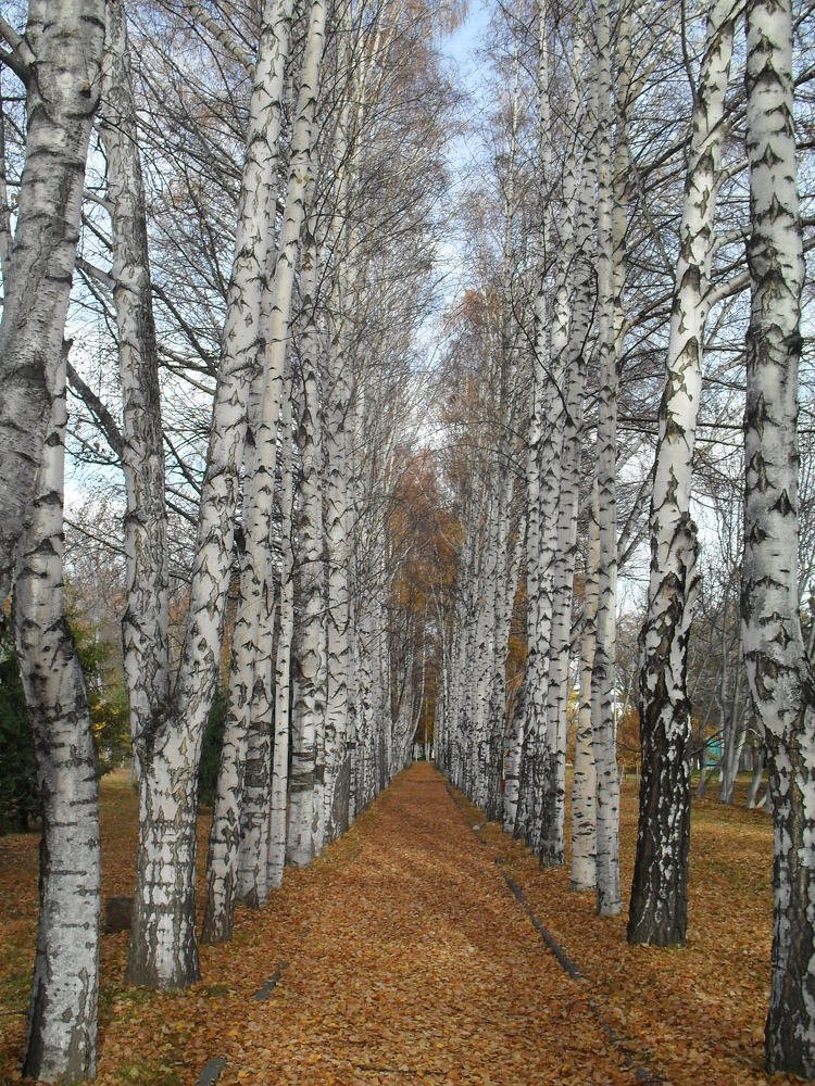 Photograph by Nazgul Usupbekova