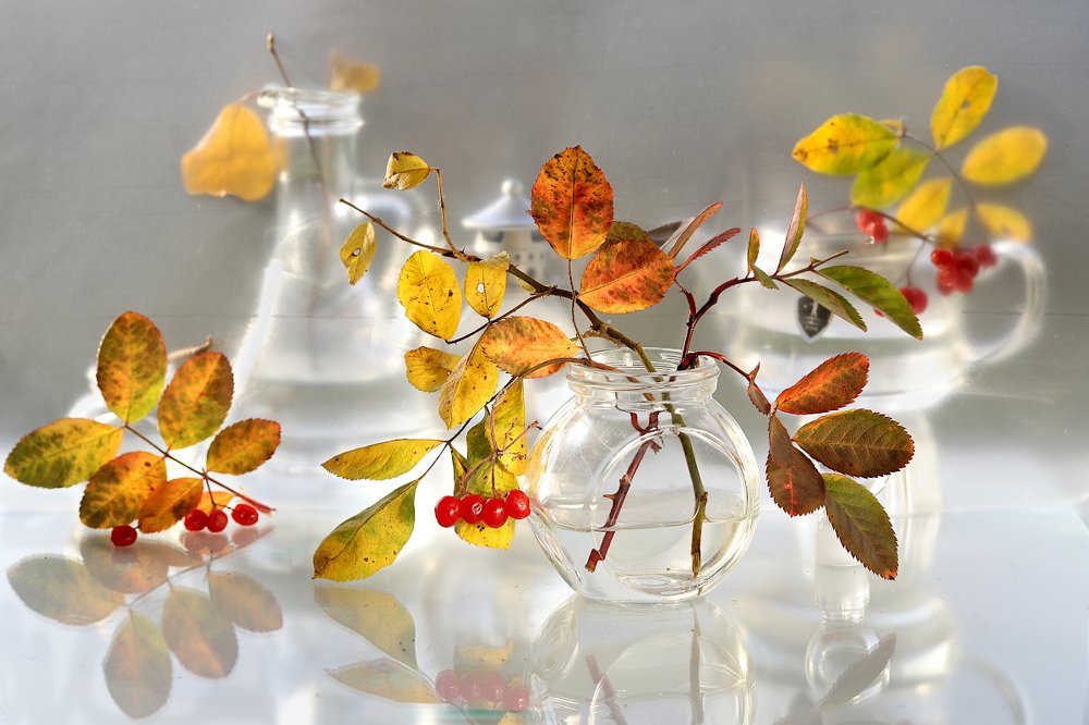 Осенний натюрморт