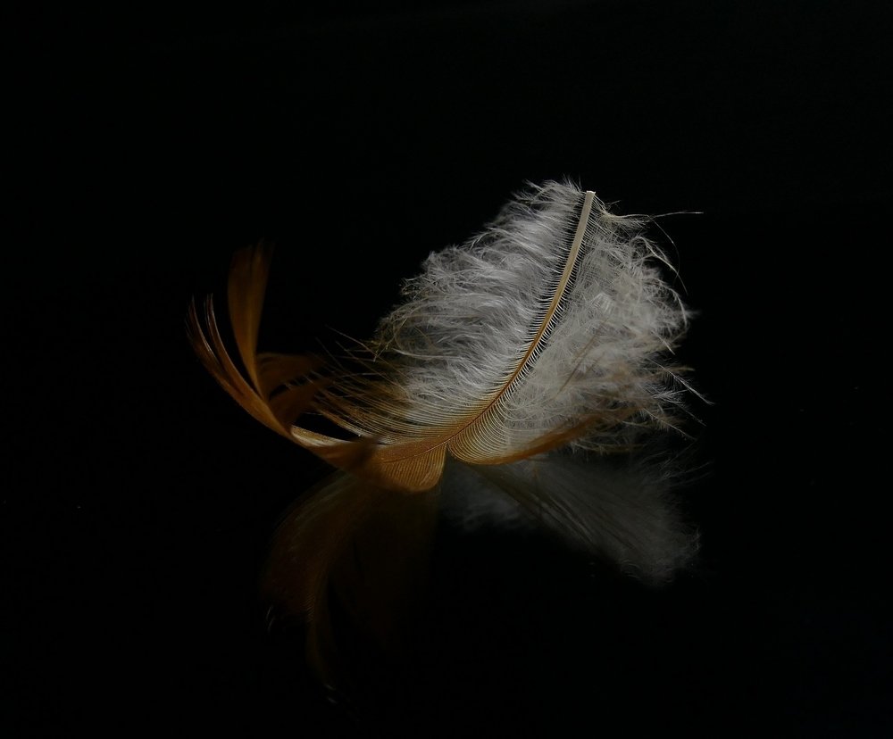 Photograph by Наталья