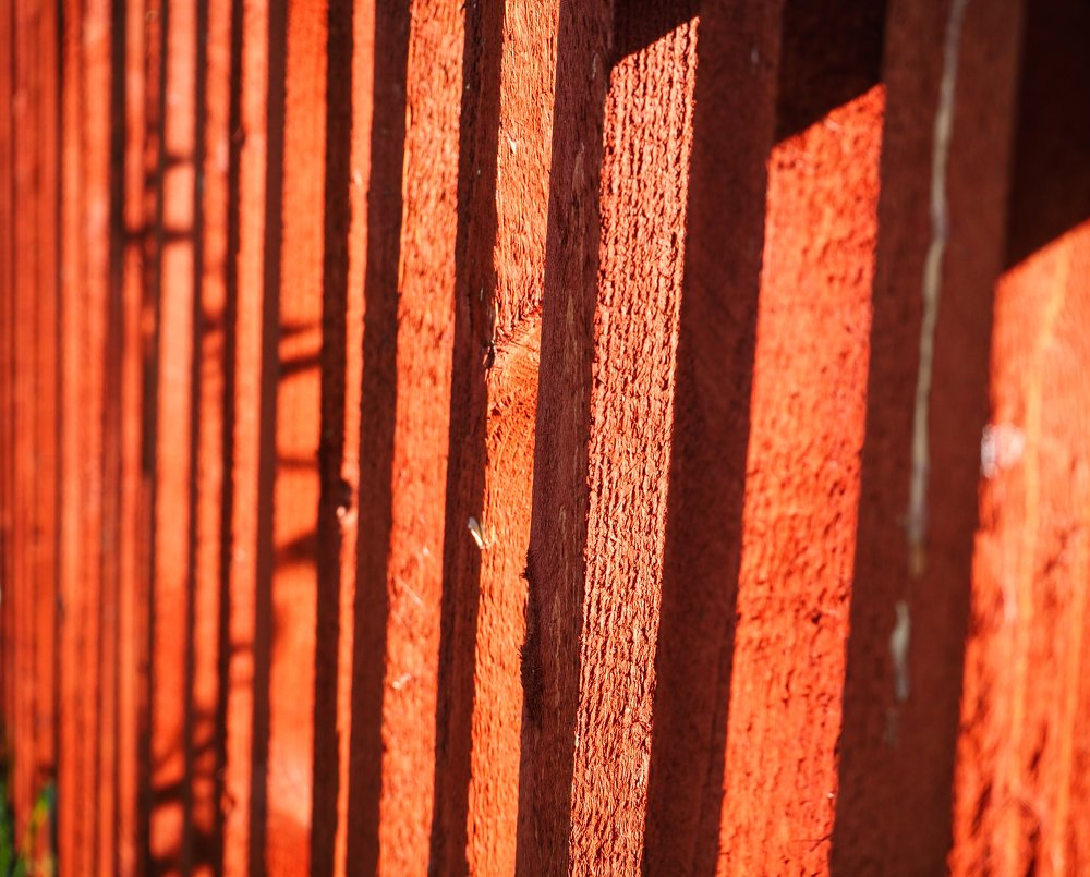 Photograph by Сергей Гаврилов